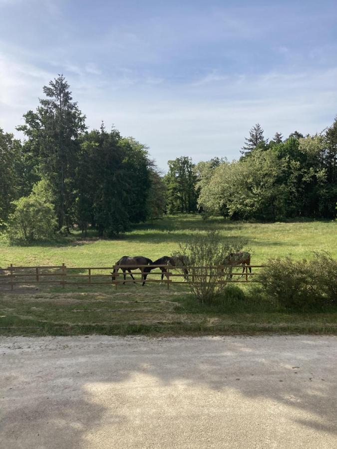 Chateau Tout Y Fault Loriges Eksteriør bilde